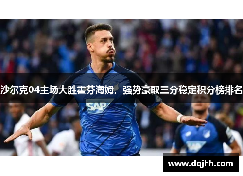 沙尔克04主场大胜霍芬海姆，强势豪取三分稳定积分榜排名