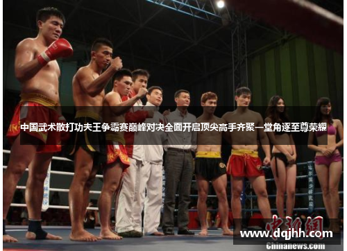 中国武术散打功夫王争霸赛巅峰对决全面开启顶尖高手齐聚一堂角逐至尊荣耀