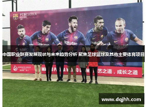 中国职业联赛发展现状与未来趋势分析 聚焦足球篮球及其他主要体育项目