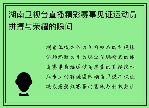 湖南卫视台直播精彩赛事见证运动员拼搏与荣耀的瞬间