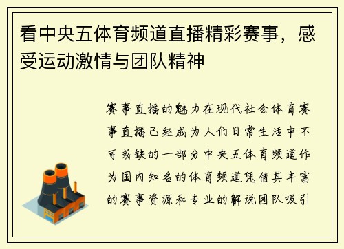 看中央五体育频道直播精彩赛事，感受运动激情与团队精神