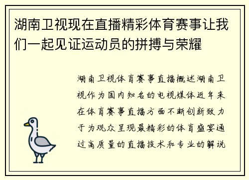 湖南卫视现在直播精彩体育赛事让我们一起见证运动员的拼搏与荣耀